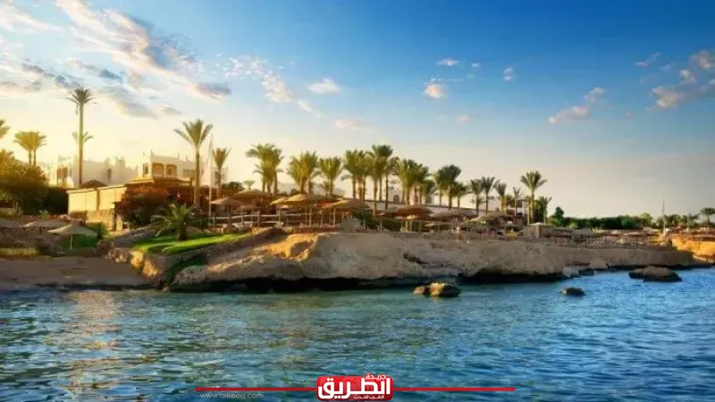 ذروة السياحة الشتوية و38 جنسية في مصر