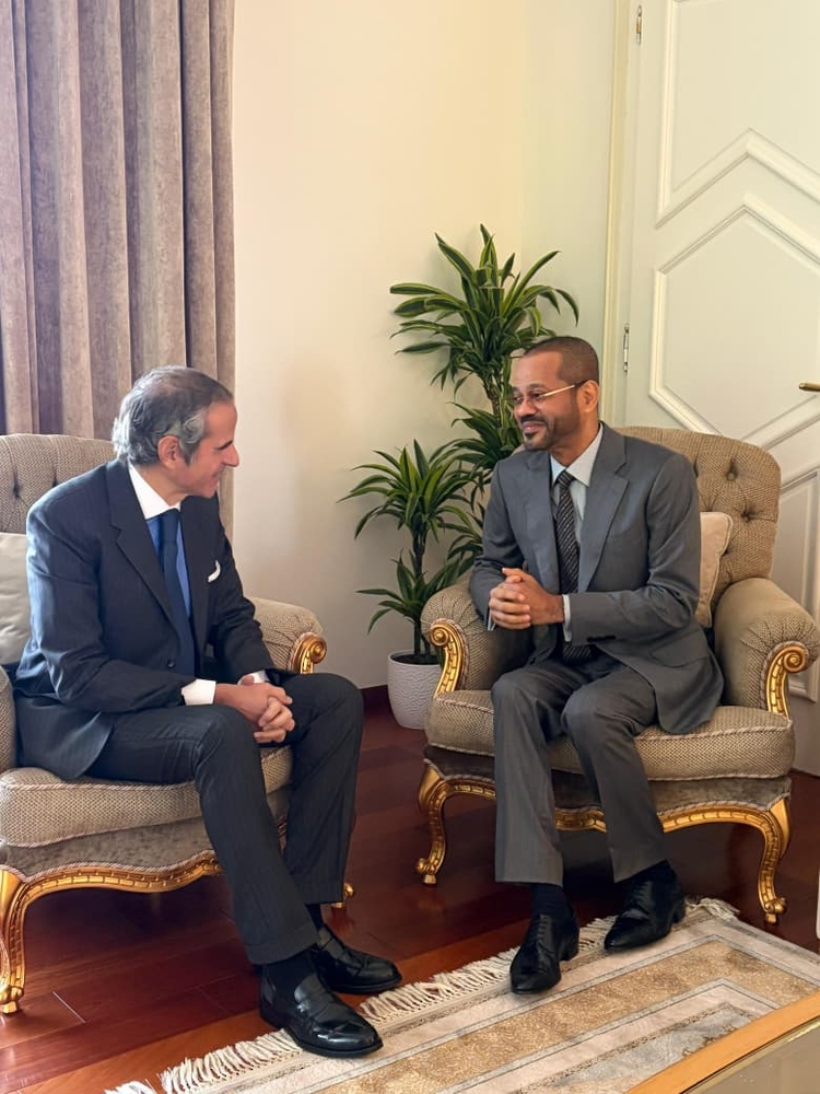 وزير الخارجية والمدير العام للوكالة الدولية للطاقة الذرية يبحثان تطوّرات الملف النووي الإيراني