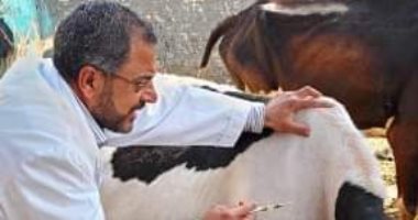 بدء الحملة القومية ضد مرض الجلد العقدى فى الأبقار وجدرى الأغنام بالمنوفية غدا