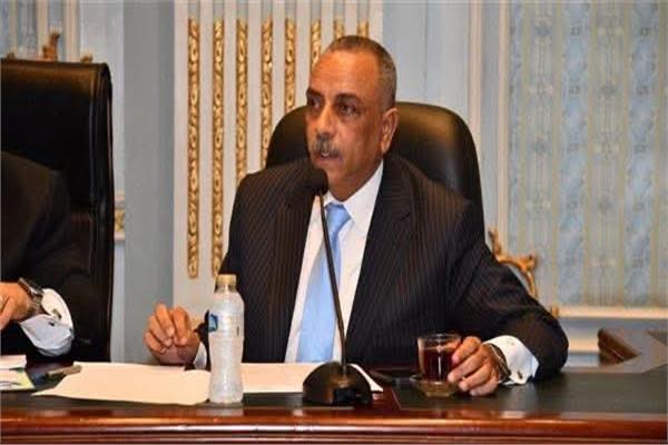 الطماوي أمينا للجنة التشريعية بالمجلس القومي لحقوق الإنسان