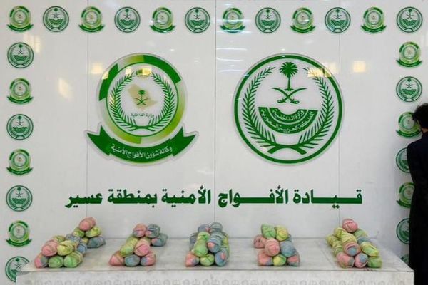 القبض على شخص لترويجه (12) كيلو جرامًا من نبات القات المخدر