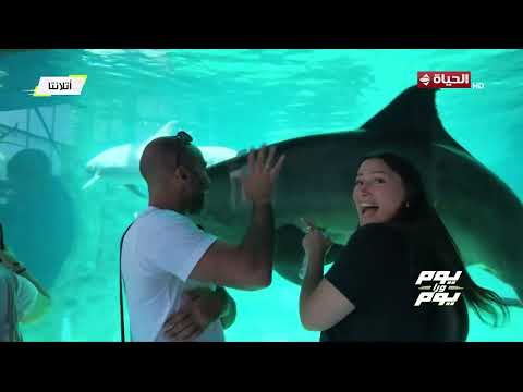 يوم ورا يوم | مع علي عثمان واليسيا يانكون | 7 يوليو 2026