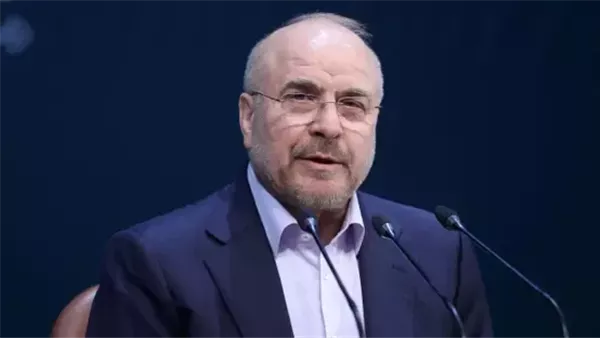 رئيس البرلمان الإيراني: لن نوافق على أي اتفاق إذا لم يضمن حقوق مواطنينا