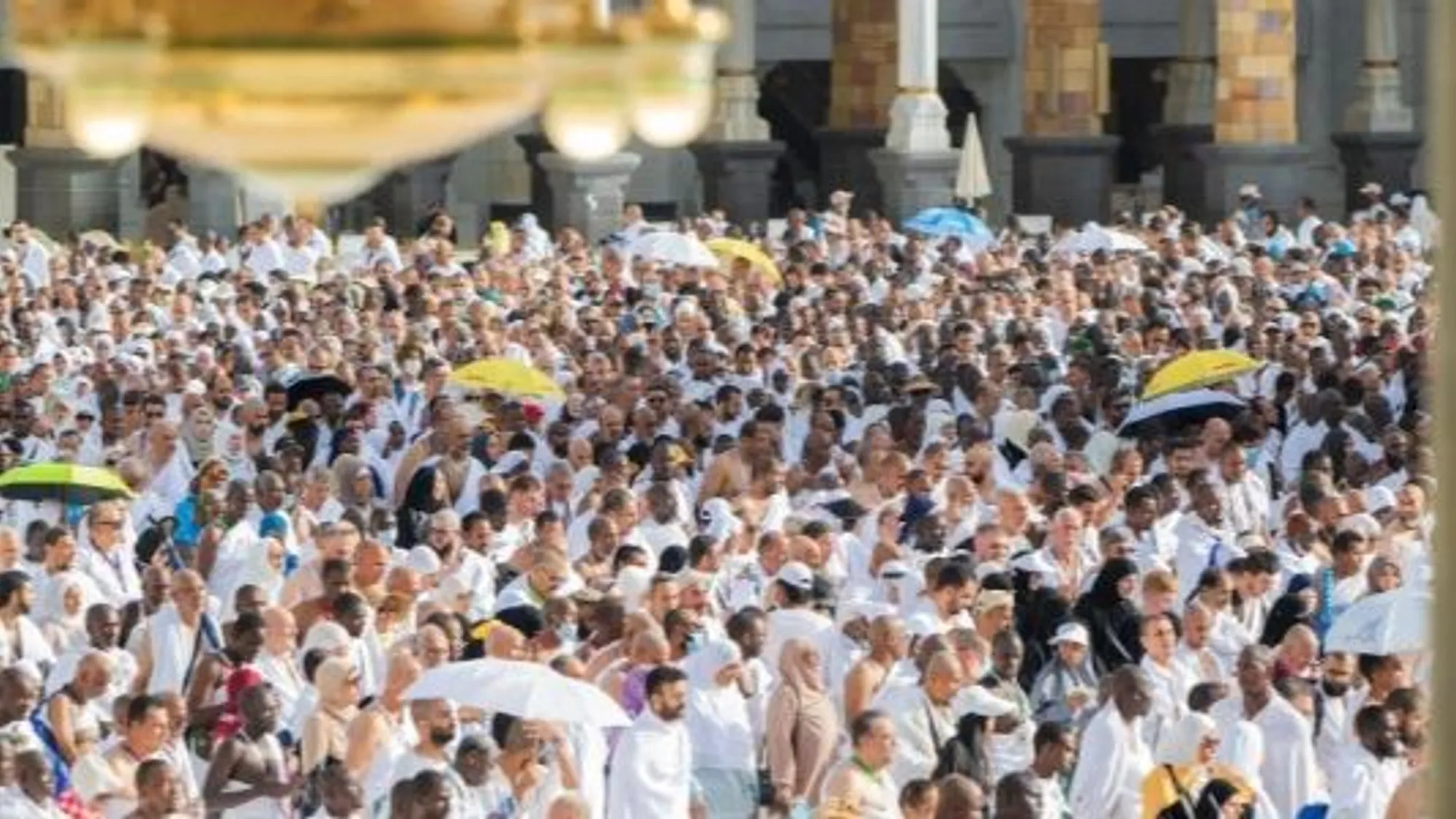 السعودية: الحجاج يؤدون طواف الإفاضة وسط خدمات متكاملة