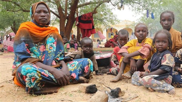 وصول أول قافلة مساعدات أممية إلى مدينتي الدلنج وكادوقلي في السودان منذ 3 أشهر