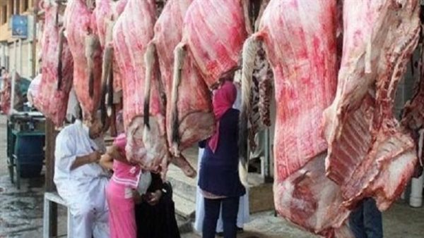 بعد واقعة القليوبية وبيان وزارة الزراعة، نصائح مهمة قبل شراء اللحوم