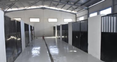 تعرف على أهم المعلومات عن "شيلتر" إيواء الكلاب الضالة الجديد بجنوب بورسعيد
