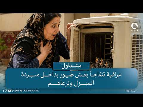 عراقية تتفاجأ بعش طيور بداخل مبردة المنزل وترعاهم  #متداول