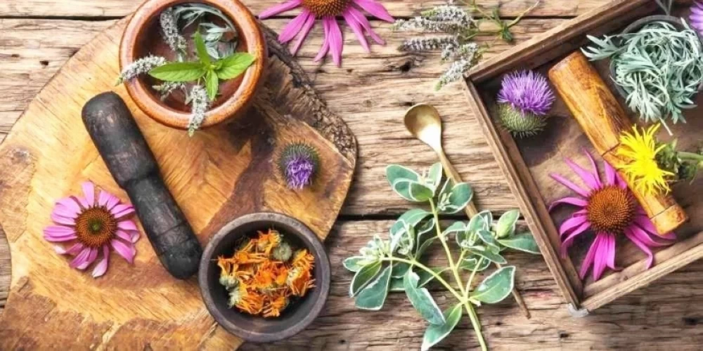 توطين وظائف الدعاية بالمستحضرات الصيدلانية والعشبية بمختلف مسمياتها