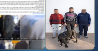 بلطجة بـ«كلب».. الأمن يكشف حقيقة فيديو التعدى على سيدة بالمنتزه