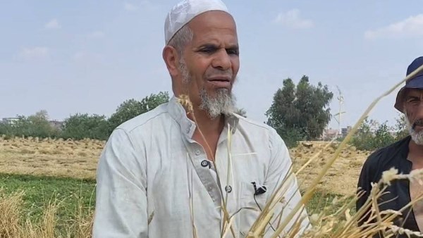 نجل المجني عليه بسرقة القمح.. تصالح الطرفين وفي انتظار قرار النيابة