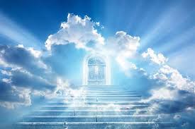 لماذا بشر النبي أبو بكر الصديق بالجنة؟.. أستاذ بـ الأزهر يوضح أسباب دخول الفردوس