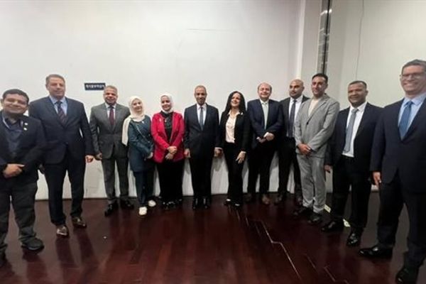 وزير الخارجية: المصريون بالخارج يُمثلون ركيزة أساسية من ركائز قوتنا الناعمة