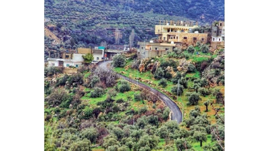 عرجان.. الطبيعة الساحرة وهوية عجلون الريفية