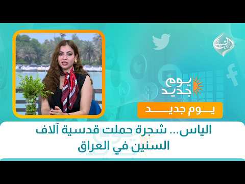 الياس... شجرة حملت قدسية آلاف السنين في العراق