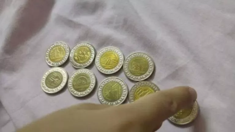 من السحتوت إلى الجنيه.. تعرف على مراحل تطور النقود المصرية