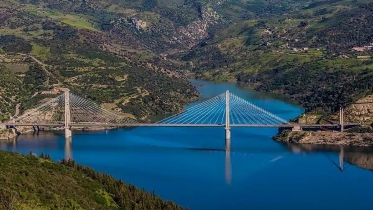 مستجدات السدود وآفاق الإنتاج الفلاحي لعام 2026