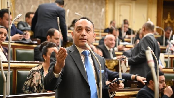 «قفزة في المجهول».. فريدي البياضي يطالب بمحاسبة الحكومة على قرار 13 سنة تعليم إلزامي