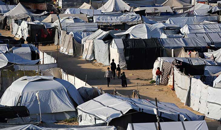 انتشار الفئران في خيام غزّة يقضّ مضاجع النّازحين