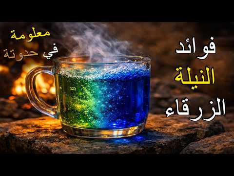 حكاية النيلة اللي مش منيلة بنيلة 😂- معلومة في حدوتة