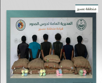إحباط تهريب 220 كيلوجرامًا من القات في عسير.. والقبض على 6 مخالفين من الجنسيتين الإثيوبية واليمنية