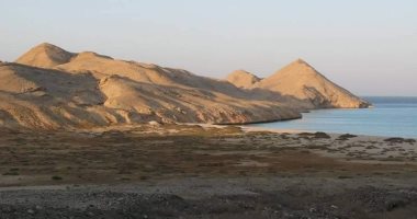 بداية موسم التعشيش.. الزبرجد والجفتون أهم جزيرتين للسلاحف بالبحر الأحمر.. الخضراء منها تقصد الأولى.. وصقرية المنقار تضع بيضها بالثانية.. تبدأ عملية وضع البيض من مايو حتى سبتمبر