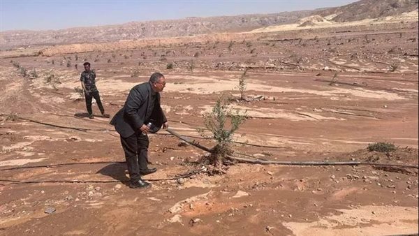 «الري»: مشروعات سيناء التنموية ركيزة استراتيجية للتعمير والتنمية المستدامة