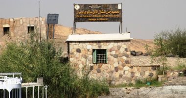 جزر سالوجا وغزال كنز بيئى على ضفاف النيل.. المحمية تحافظ على التنوع النادر وتروى حكاية التوازن البيئى.. طبيعة ساحرة وطيور مهددة بالانقراض.. محط اهتمام الباحثين وعشاق الطبيعة والسياح من مختلف أنحاء الع