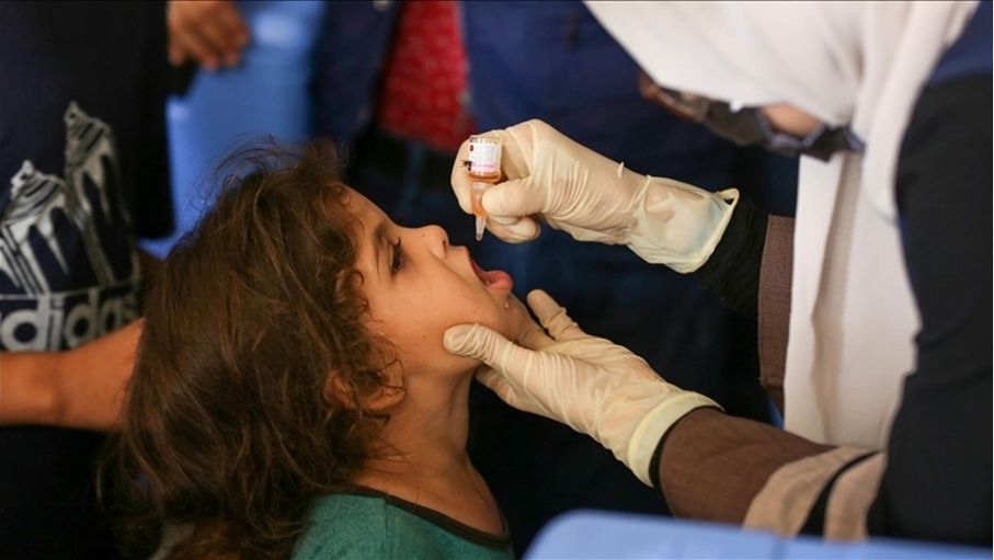 "الصحة العالمية".. 17 ألف إصابة بين نازحي غزة بسبب القوارض والطفيليات