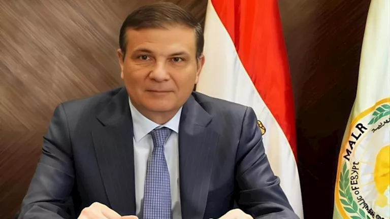 5 ملايين طن قمح مستهدفة.. خطة الزراعة لتعزيز الأمن الغذائي في مصر