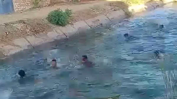 زغاريد وغطس .. أغرب "حنة" لعريس مصري هرباً من الحر الخانق