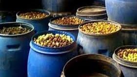 ضبط 2 طن مخللات مجهولة المصدر وفاسدة داخل مصنع بالغربية