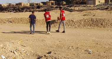 محافظ قنا يوجه بتكثيف حملات تحصين الكلاب الضالة