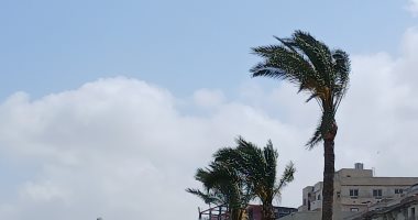 رفع درجة الاستعداد لنوة الحسوم فى الإسكندرية.. حالة الطقس الآن (فيديو)