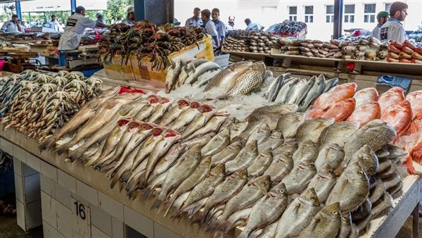 انخفاض الجمبري والبلطي، سعر السمك اليوم في سوق العبور
