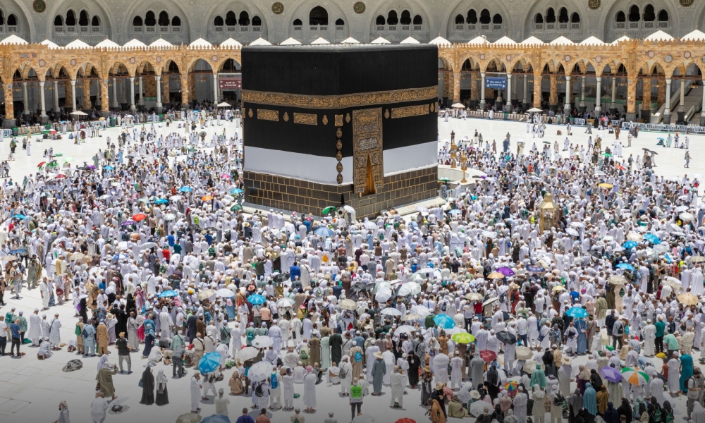 73 شركة معتمدة لخدمة حجاج الداخل في حج 1447هـ