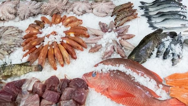 سعر السمك اليوم، انخفاض 4 أصناف وارتفاع الكابوريا والماكريل والجمبري الوسط