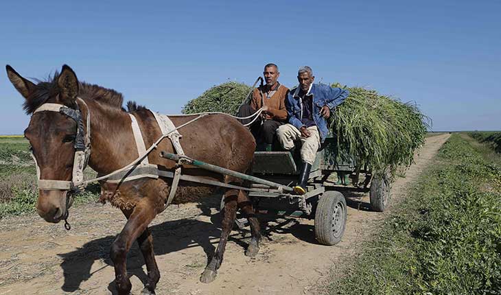 انتقادات بالجملة للحكومة المغربية: تصاعد الاحتقان الاجتماعي بين مطالب النقابات وضغوط الأحزاب