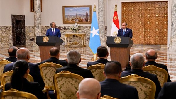 رسائل مهمة من السيسي لرؤساء الإمارات والصومال والنيباد والاستخبارات الروسية