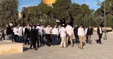 مستوطنون يهاجمون مركبات الفلسطينيين شمال شرق القدس