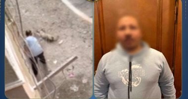 ذبح الرحمة.. سقوط "سفاح الكلاب" فى قبضة أمن القاهرة بالمعادى