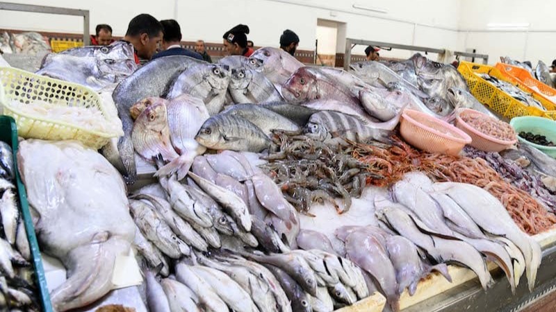 رواج كبير للسردين والأنشوبة بكازا.. موانئ الجنوب تُنعش سوق الجملة للسمك
