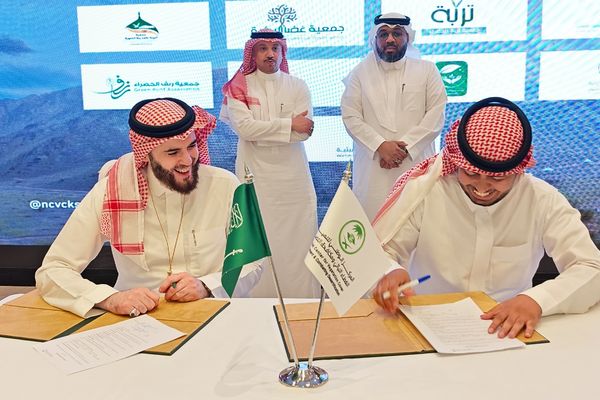 مركز "الغطاء النباتي" يناقش تعزيز دور الجمعيات في استدامة الغابات