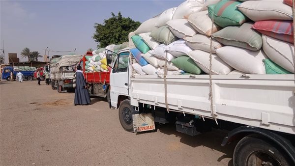 توريد 3322 طن قمح للشون والصوامع بسوهاج منذ بدء الموسم