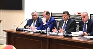 وزير المالية أمام "خطة النواب": لا ضريبة على الغاز الطبيعي بالمنازل