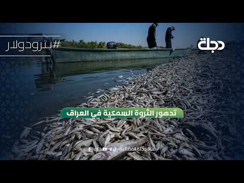 Deterioration of fish stocks in Iraq