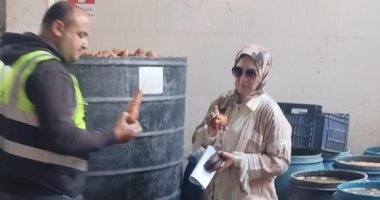 ضبط 32 طن مخلل فاسد فى حملة تموينية بالدقهلية