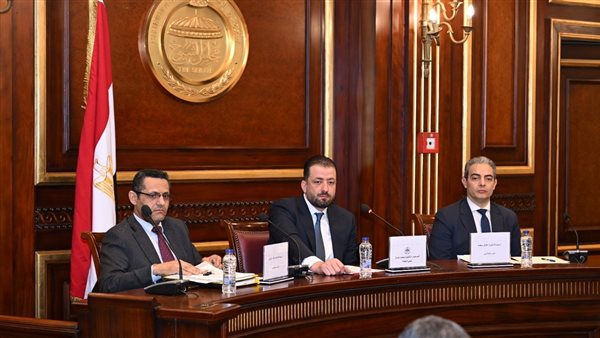 خالد البلشي: الإذن المسبق للتصوير "رقابة" تُقيد حرية الصحافة.. ونطالب بقانون لتداول المعلومات