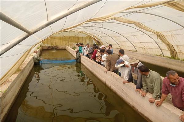 "تنمية البحيرات" برنامج تدريبي لطلاب الجامعات ويطبق الطاقة الشمسية