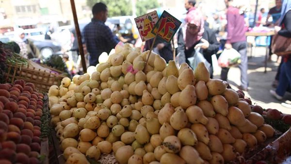 سعر الفاكهة اليوم، الفراولة تبدأ من 15 جنيها وارتفاع الجوافة سابع أيام شهر رمضان